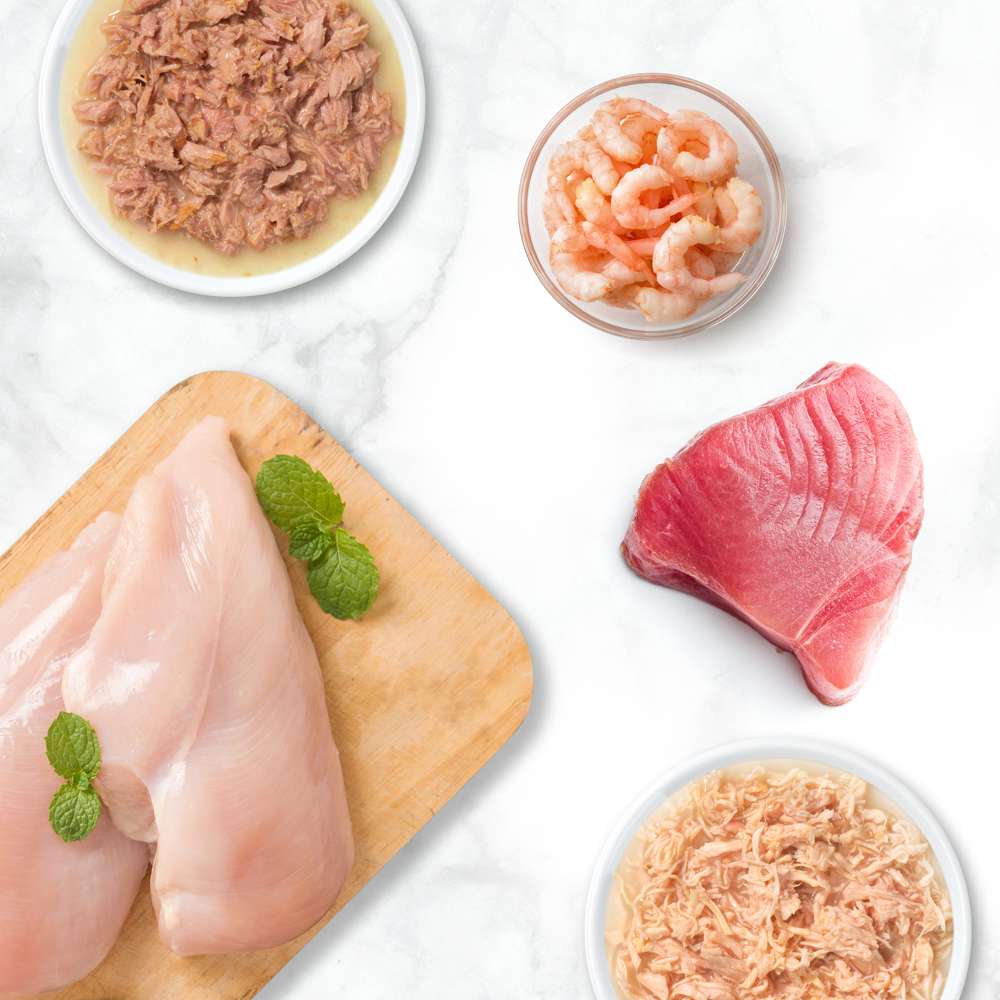 Imagen del producto 11