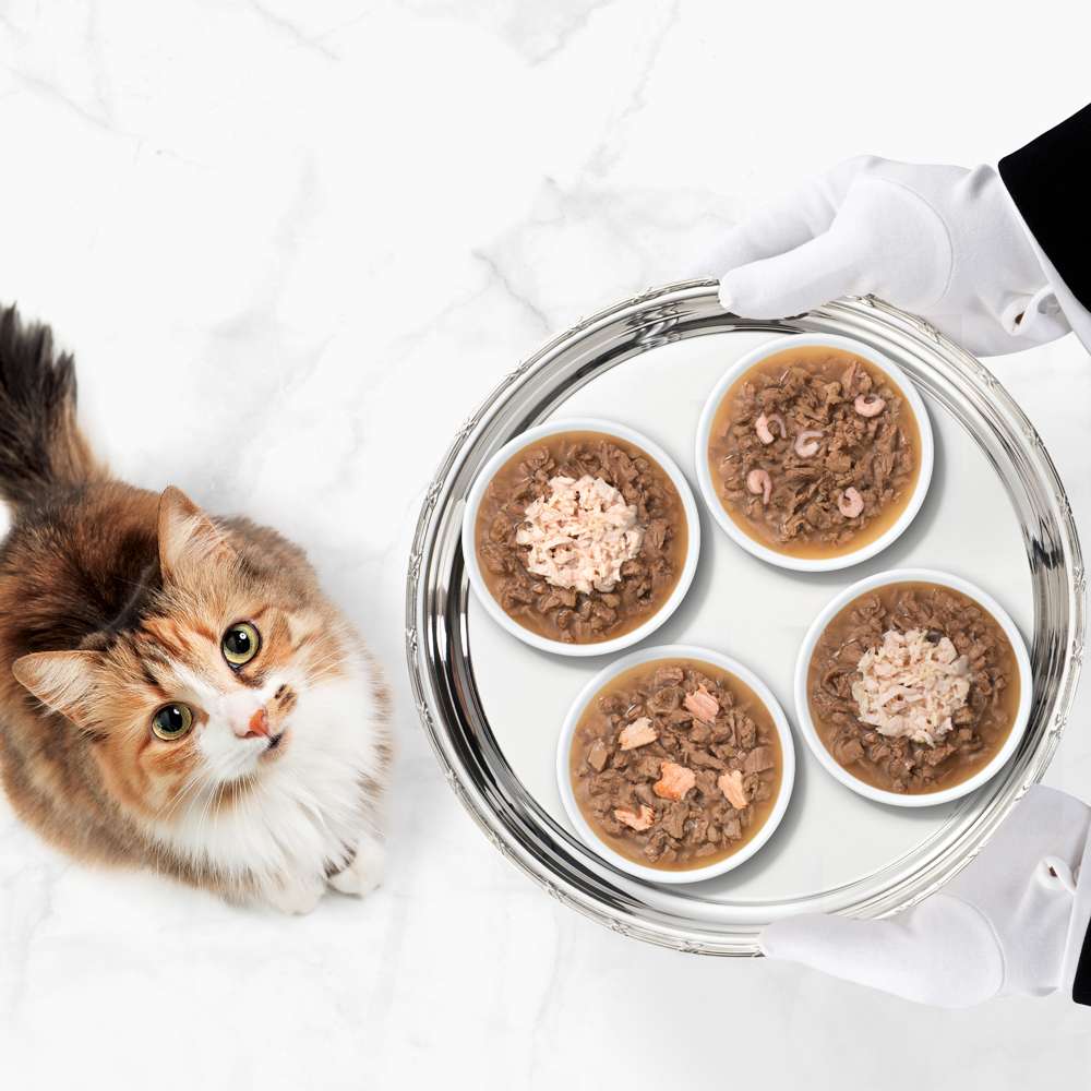 Imagen del producto 10