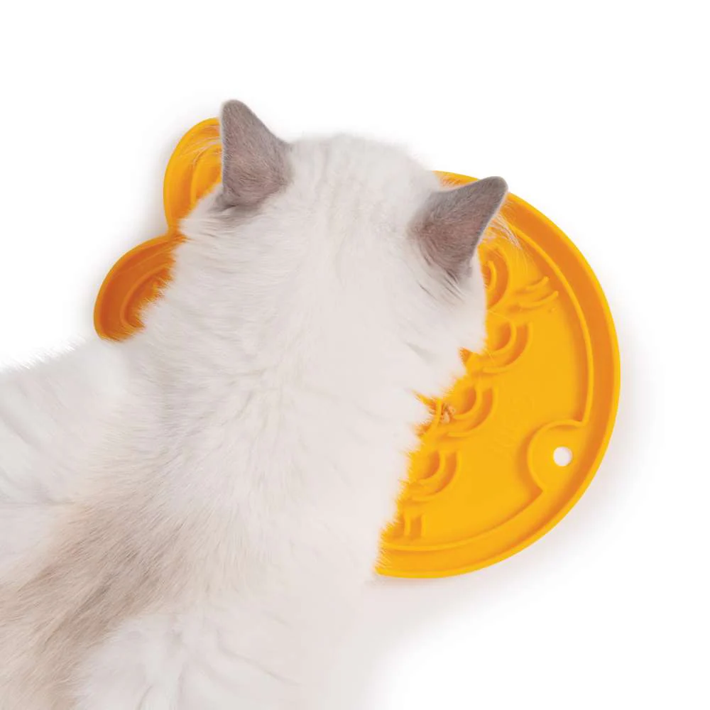 Imagen del producto 6