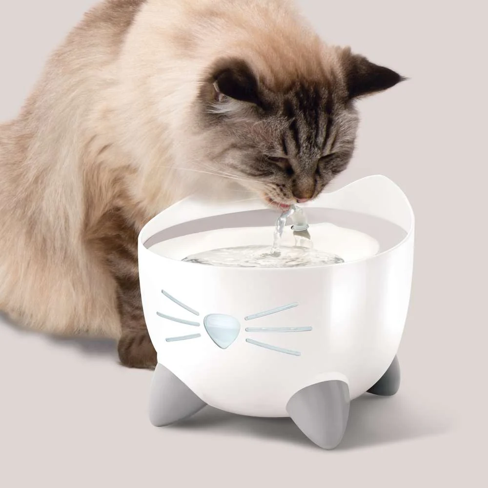 Imagen del producto 20