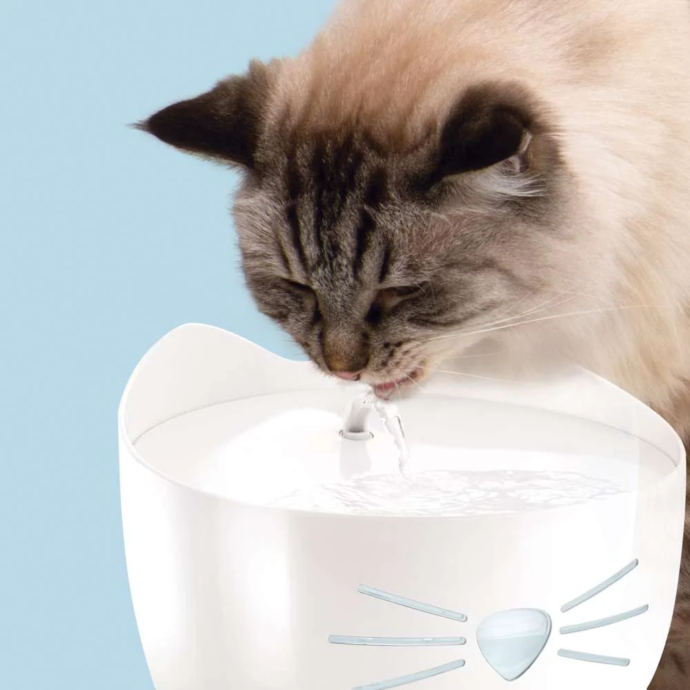 Imagen del producto 8