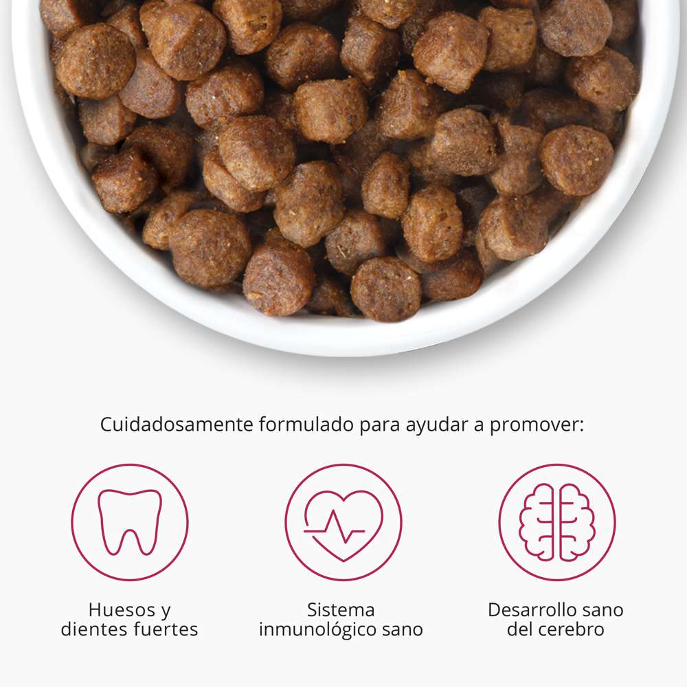 Imagen del producto 8