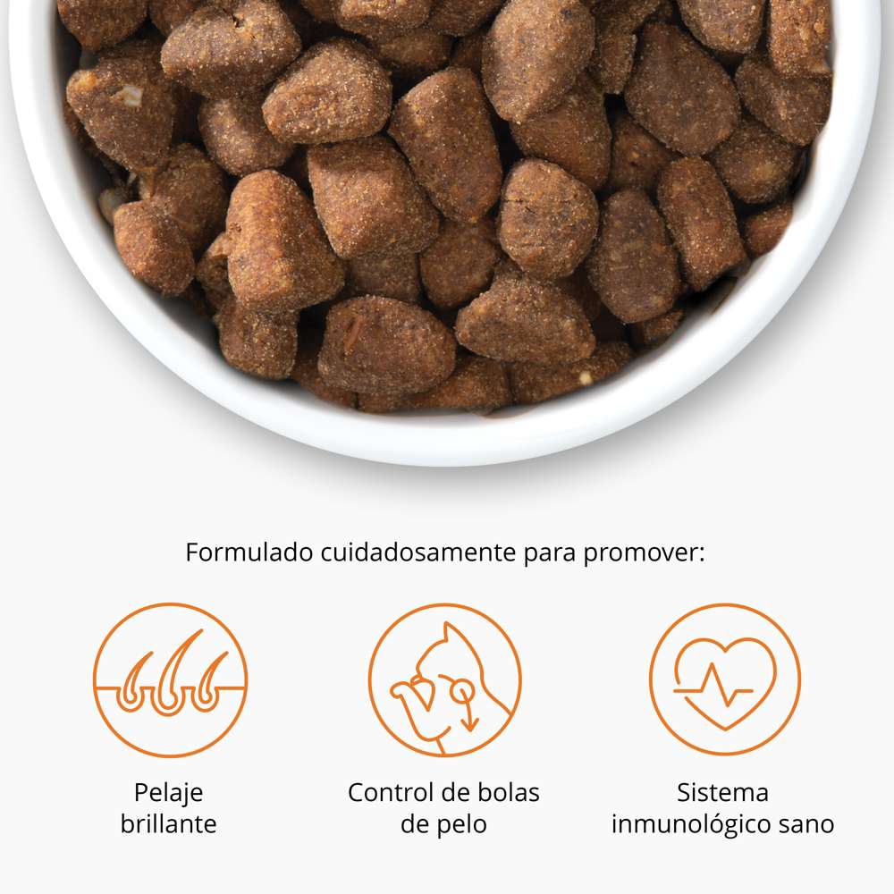 Imagen del producto 8