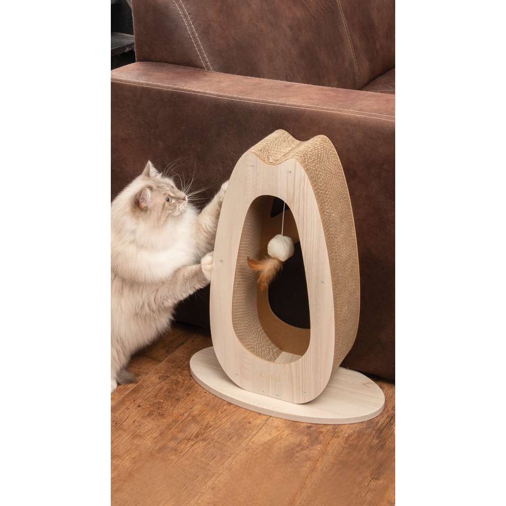 Imagen del producto 10