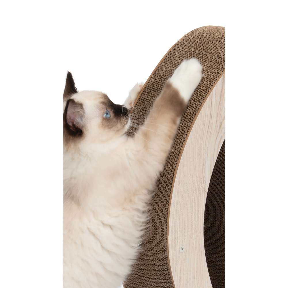 Imagen del producto 9