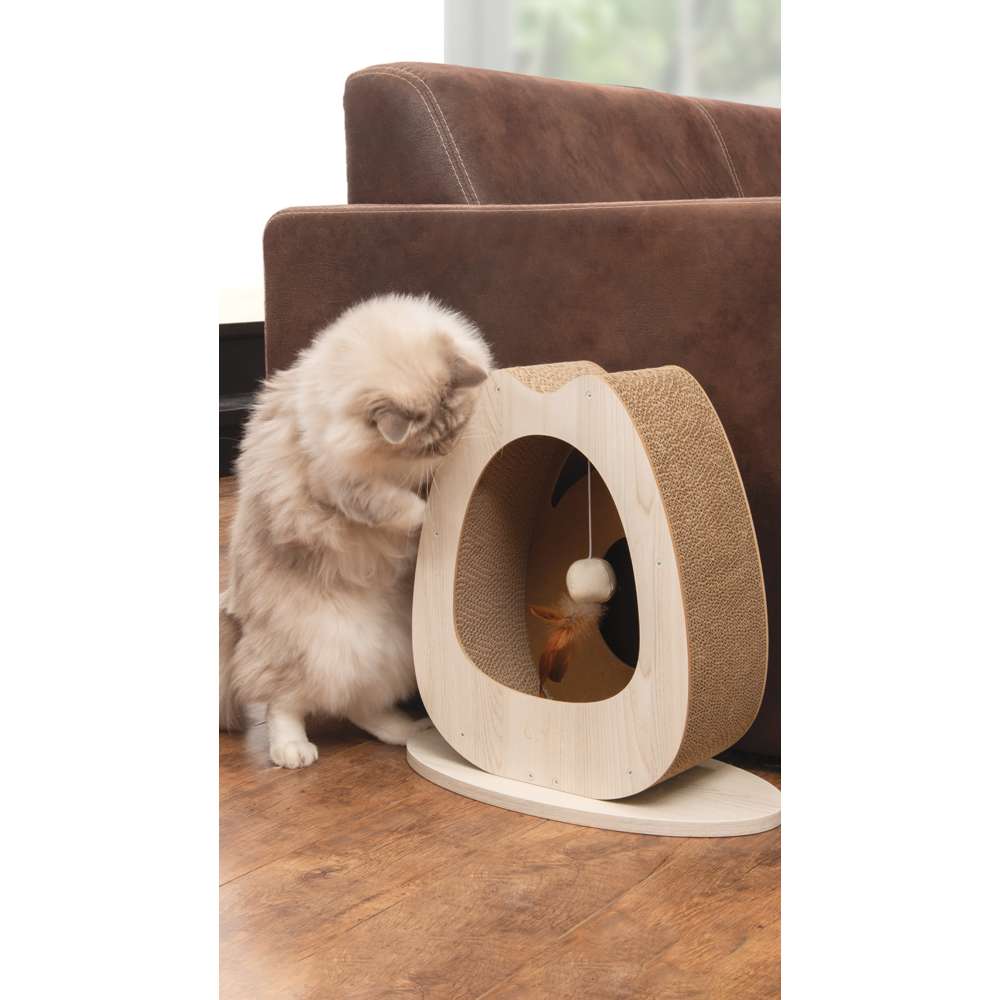 Imagen del producto 11