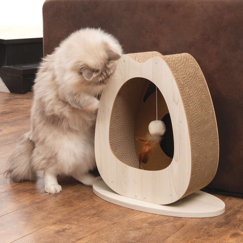 Imagen del producto 8