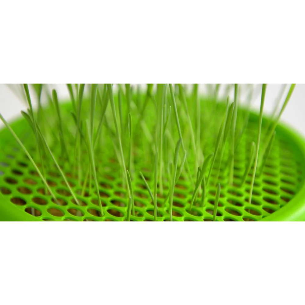 Imagen del producto 10