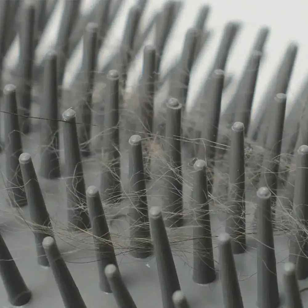 Imagen del producto 12