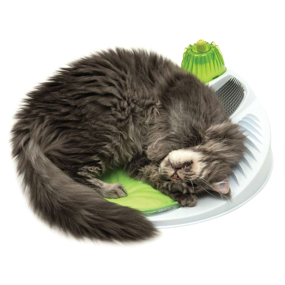 Imagen del producto 10