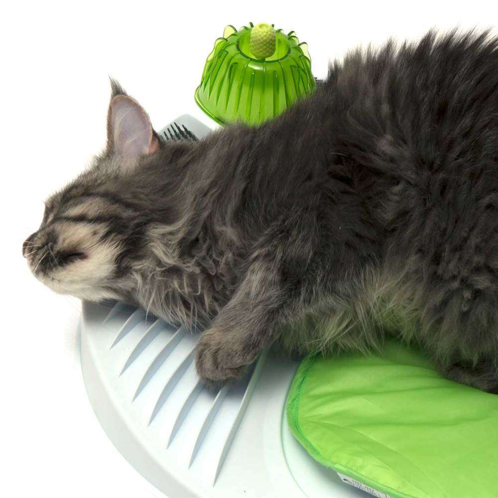 Imagen del producto 12