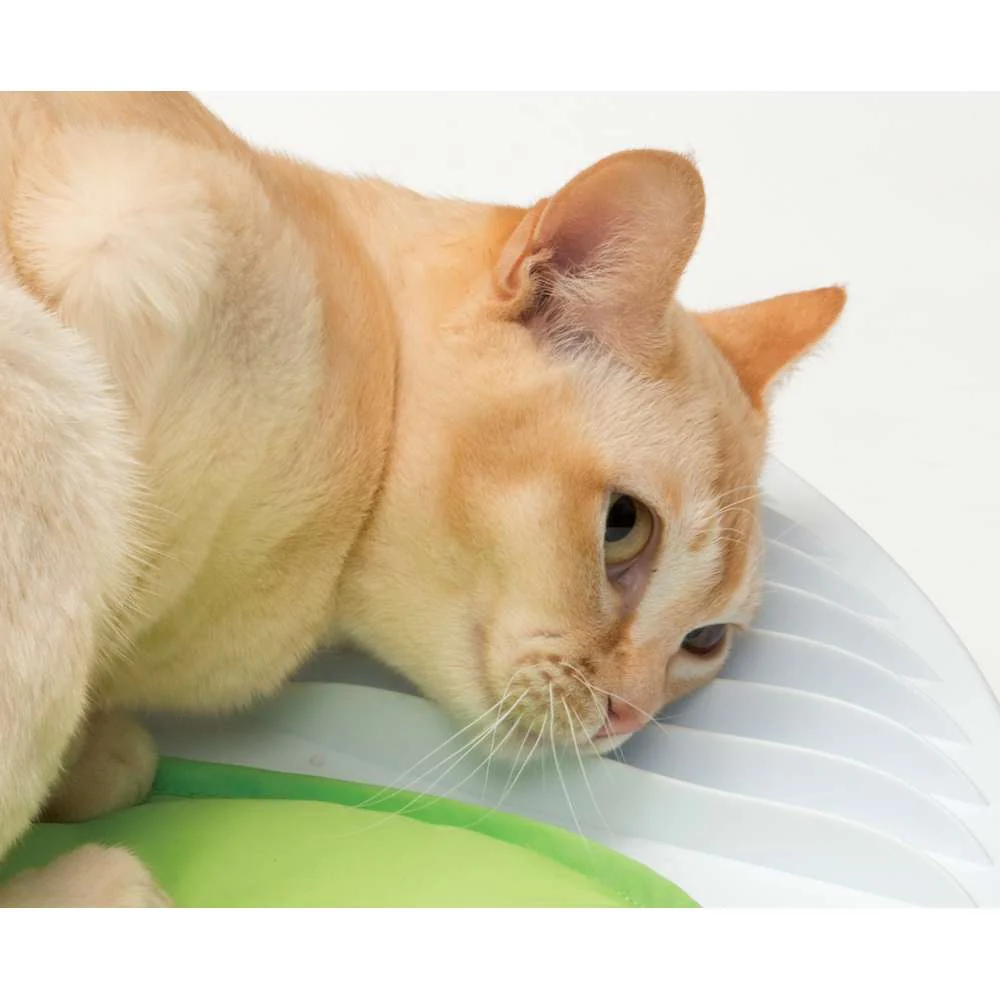 Imagen del producto 9