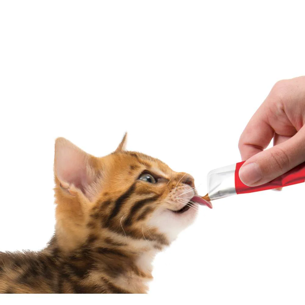 Imagen del producto 10