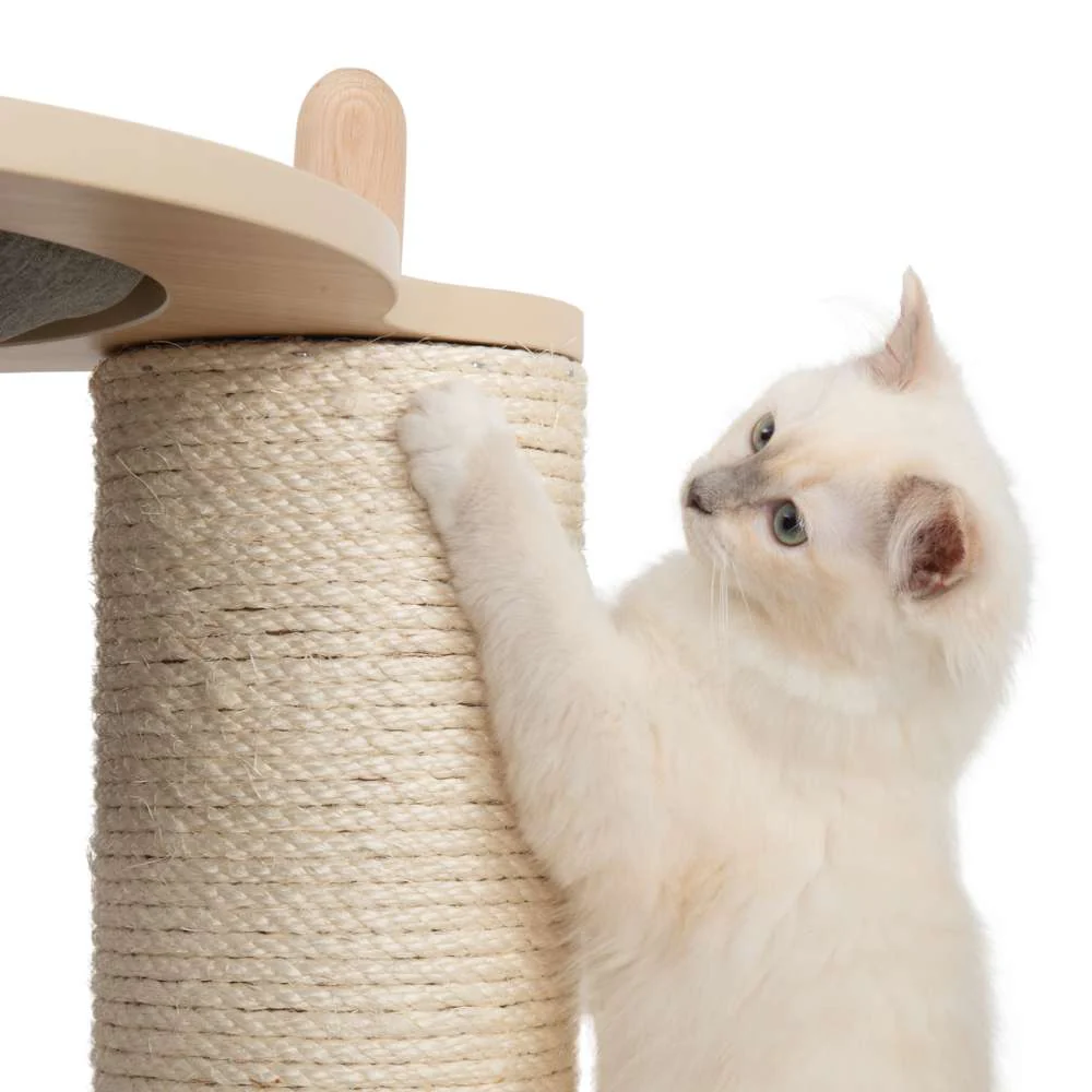 Imagen del producto 10